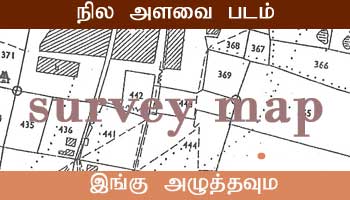 Kayalpatnam Survey Map